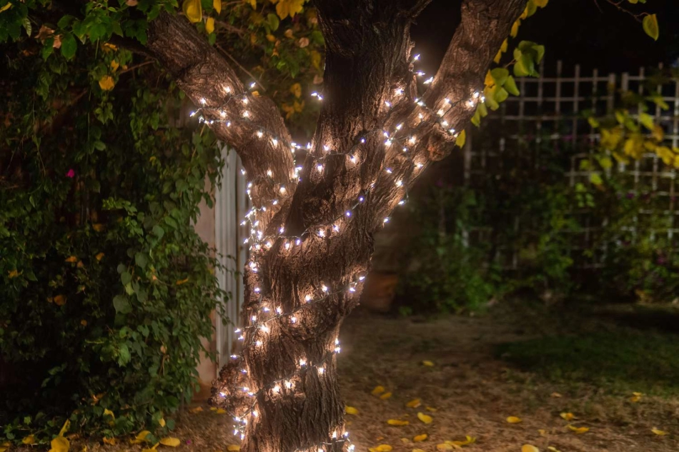 Cómo envolver árboles con luces exteriores