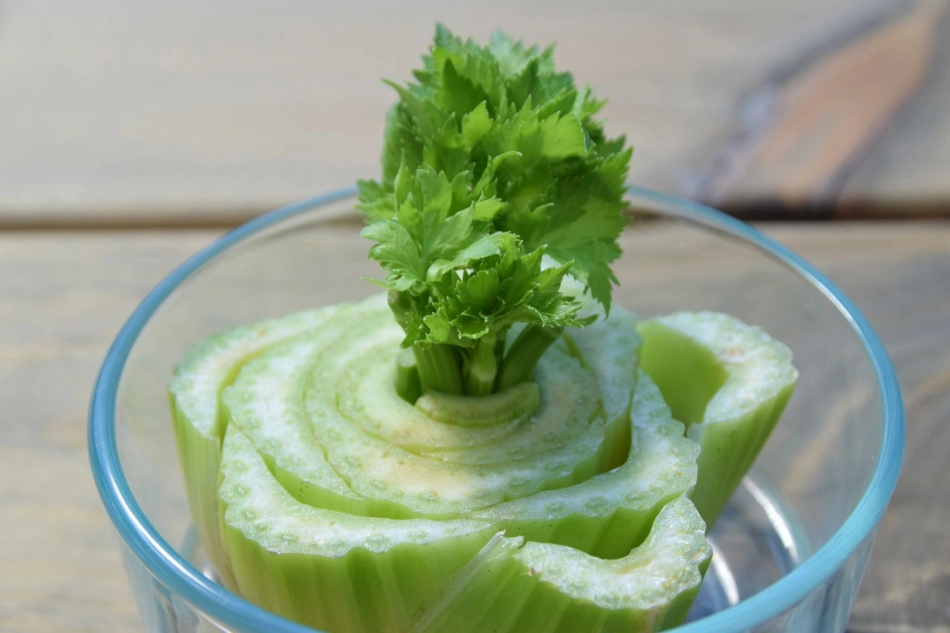 Cómo cultivar apio desde la base