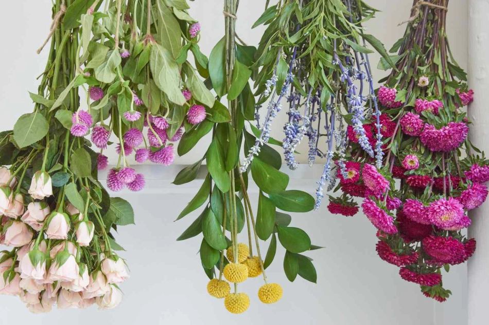 Cómo cosechar, secar y almacenar flores